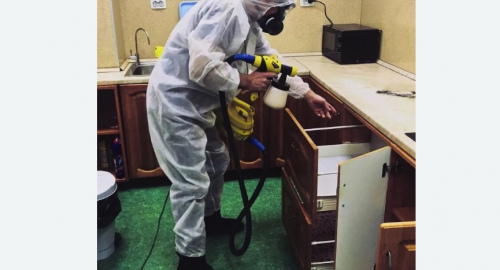 Уничтожение насекомых в квартире. Кирс