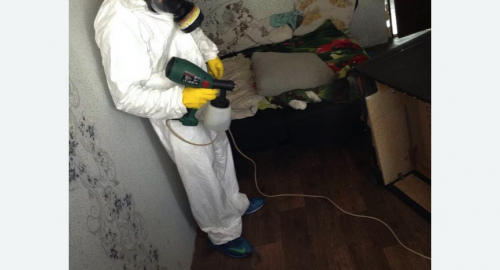 Дезинсекция помещения в Кирсе