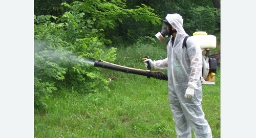 Дезинфекция территории от клещей. Кирс