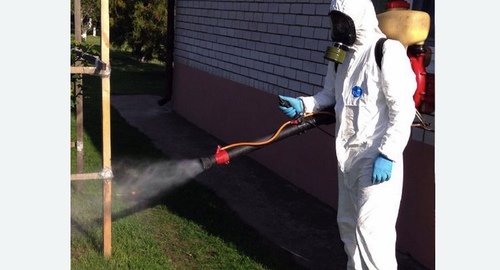 Уничтожение клещей на участке в Кирсе