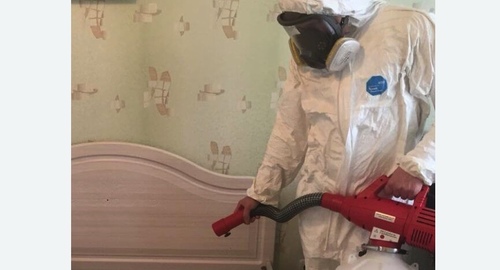 Уничтожение клещей в квартире. Кирс