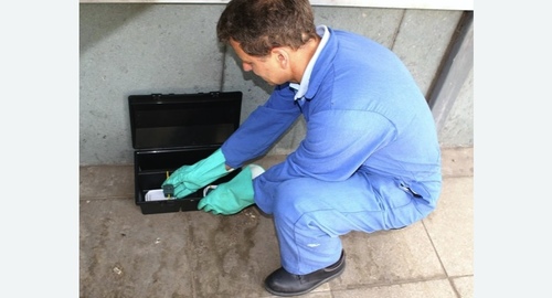 Уничтожение мышей. Кирс