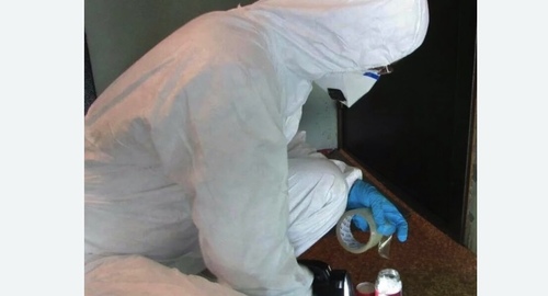 Обработка от мышей в Кирсе