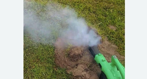 Обработка от кротов в Кирсе