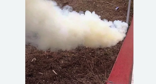 Уничтожение кротов на участке в Кирсе