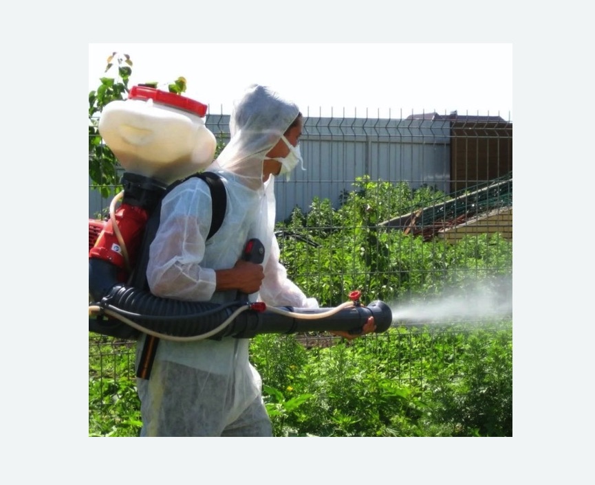 Акарицидная обработка территории в Кирсе