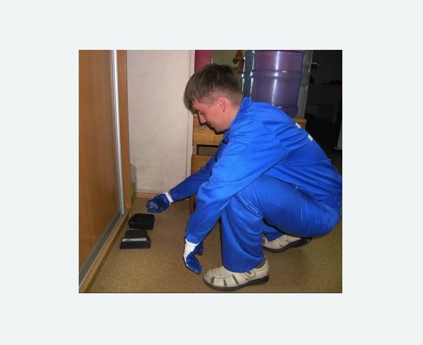 Дератизация крыс в Кирсе