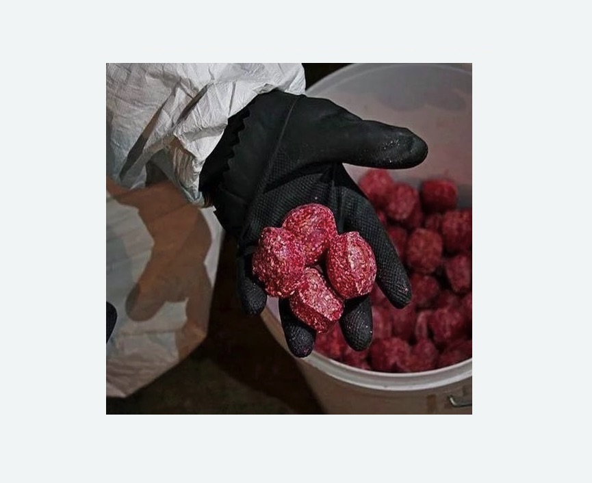 Обработка от крыс в Кирсе