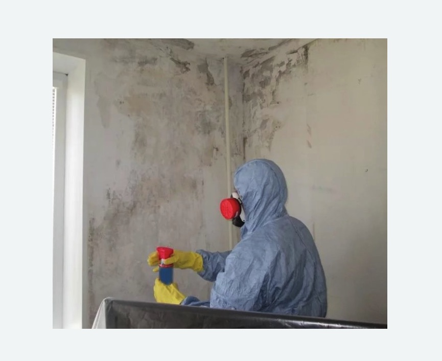 Удаление плесени в квартире в Кирсе