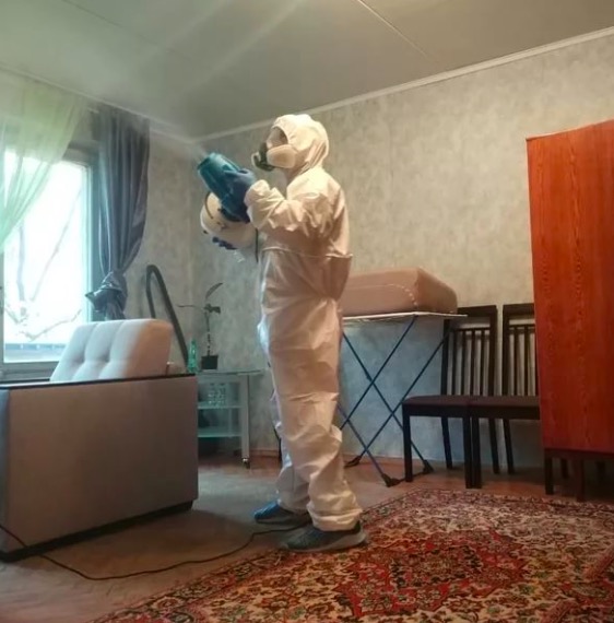 дезинсекция квартиры в Кирсе