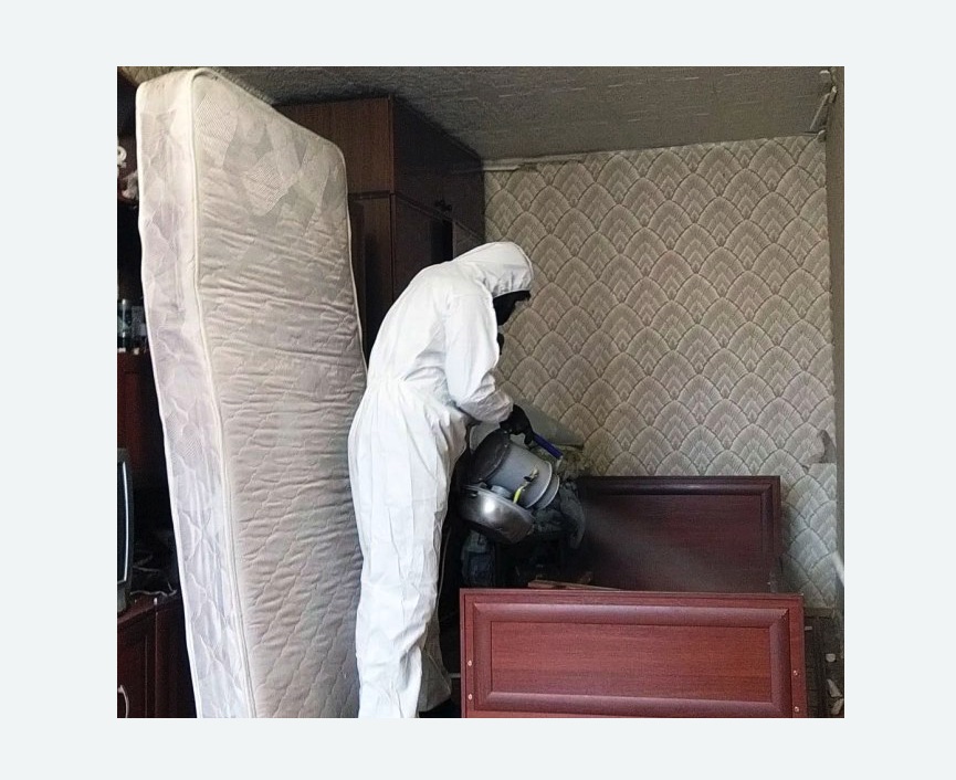 дезинфекция от клопов в Кирсе