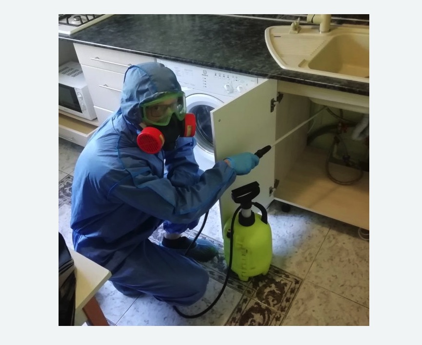 обработка от муравьев в квартире в Кирсе