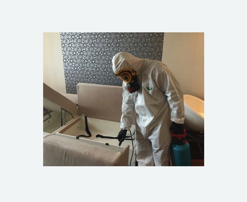 уничтожение клопов в квартире в Кирсе