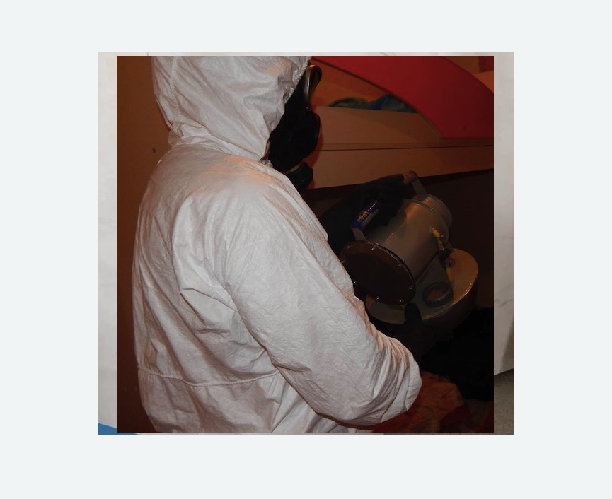 Дезинфекция от муравьев в Кирсе