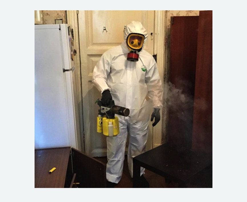 уничтожение муравьев в квартире в Кирсе